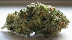 Blue Dream – Hybrid | Buy Marijuana online | Buy Weed