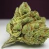 Bubble Gum – Hybrid | Marijuana Strains for sale