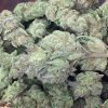 Cheese – Hybrid | Buy Marijuana online | Buy weed