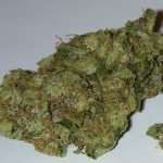 Chemdawg – Hybrid