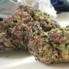 God’s Gift – Indica | Marijuana Strains for sale