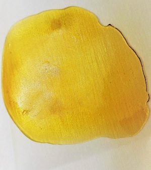 Gorilla Glue #4 Shatter | Buy Concentrates online | Buy Extracts