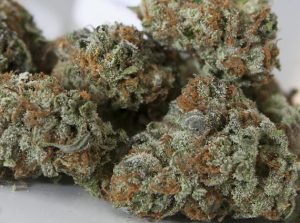 LA Confidential – Indica | Buy Marijuana Online | Buy Weed