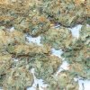 Super Lemon Haze – Sativa | Buy Marijuana Online | Buy Weed