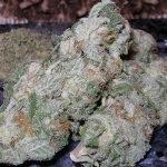 Headband – Hybrid