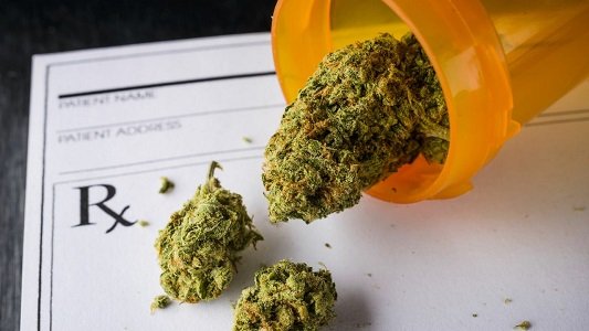 Medical Marijuana Is ‘Similarly Effective’ As Opioids For Treating Pain But With Fewer Adverse Events, Study Finds